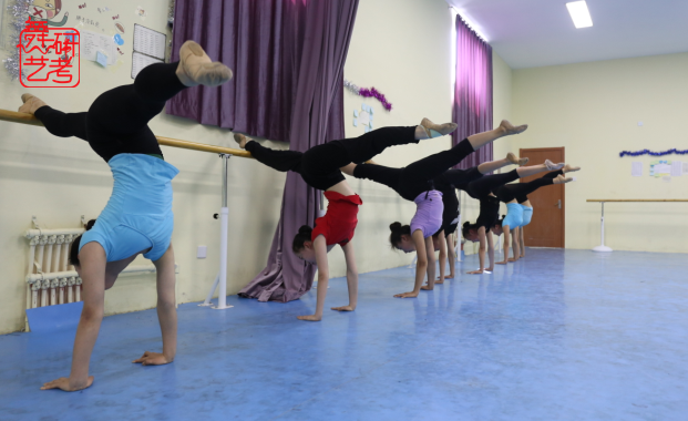 艺考问答：舞蹈艺考专业课和文化课哪个更重要？.png