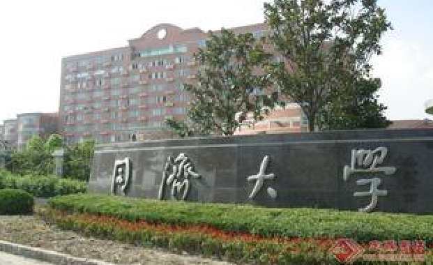 2015年同济大学艺术舞蹈表演类招生简章