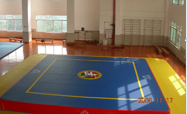 2016广州体育学院舞蹈高考联系方式