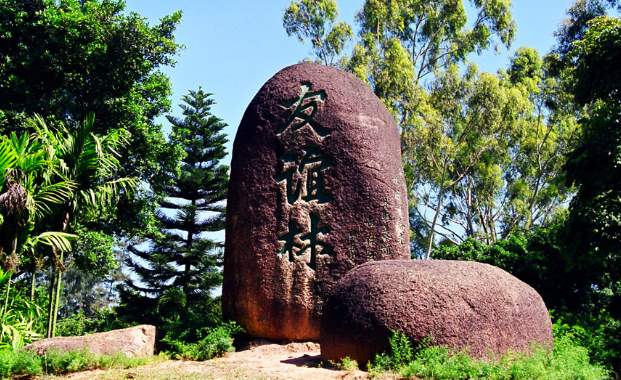 2016年深圳大學(xué)舞蹈編導(dǎo)招生簡章
