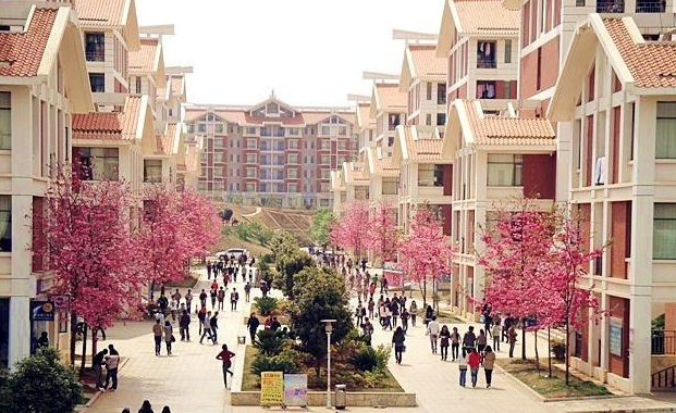 2016云南民族大學舞蹈高考招生計劃