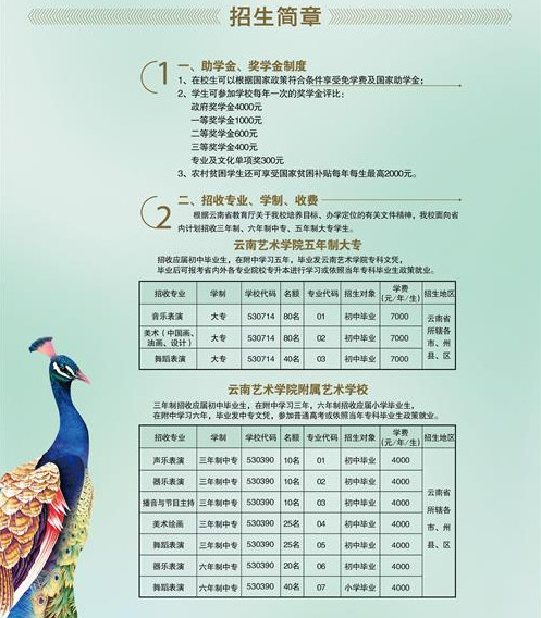 2017年云南藝術(shù)學(xué)院附屬藝術(shù)學(xué)校招生簡章.jpg