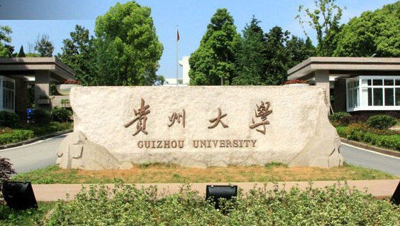 2017年貴州大學(xué)舞蹈考研復(fù)試分?jǐn)?shù)線.jpg
