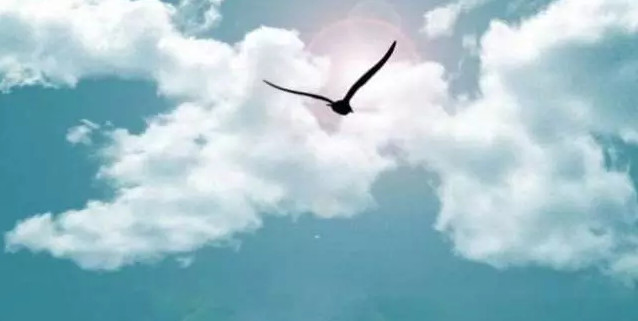 搞清3個(gè)問(wèn)題，女生考研簡(jiǎn)直是一部完美蛻變史.jpg
