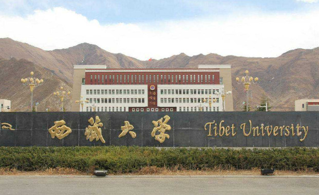 2018年西藏大学艺术类专业招生简章丨18校考
