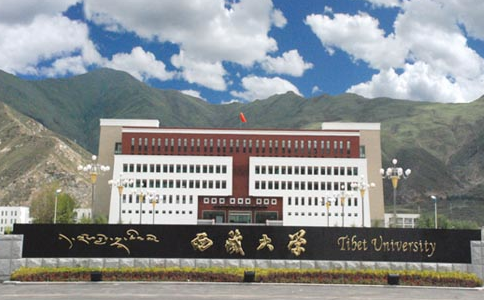 2019年西藏大学艺术类专业加试招生简章
