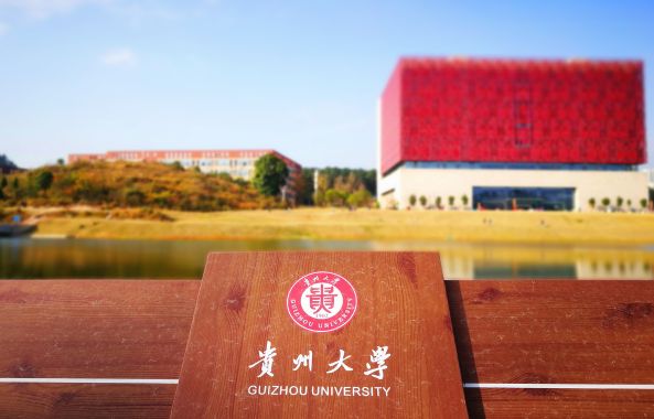 2019年贵州大学本科艺术类校考招生简章