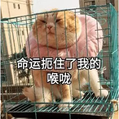舞蹈生夏天怎么穿的清爽又高级？看这一篇就够了！