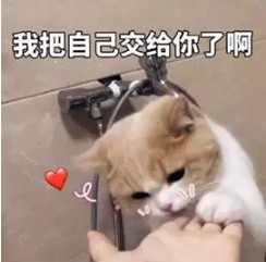 舞蹈生夏天怎么穿的清爽又高级？看这一篇就够了！
