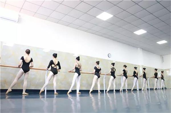 关于自2020年起内蒙古普通高校招生其他艺术类专业课考试实施校考的通知