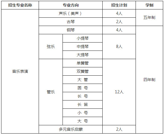 2020年中国人民大学艺术类（音乐表演）专业招生简章