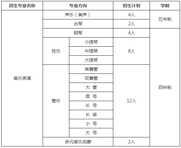 2020年中國人民大學藝術類（音樂表演）專業招生簡章