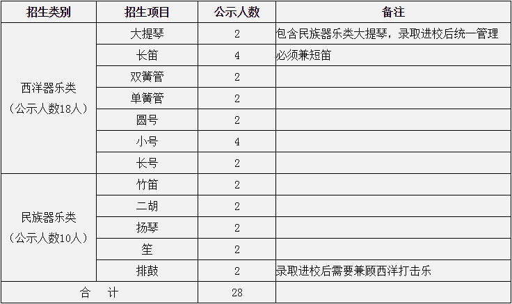 2020年中南大學高水平藝術團招生簡章