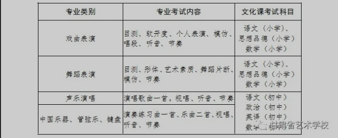 甘肃省艺术学校 (含天水分校)2020年招生简章-考试内容.png
