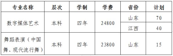2020年武汉工商学院艺术类校考招生简章（调整版）
