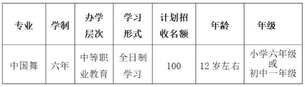 2020年广西艺术学院附属中等艺术学校招生简章