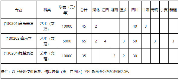 2020年宜宾学院艺术类本科分省分专业招生计划