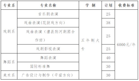 2020年湖南艺术职业学院五年制大、中专招生考试安排及考生须知