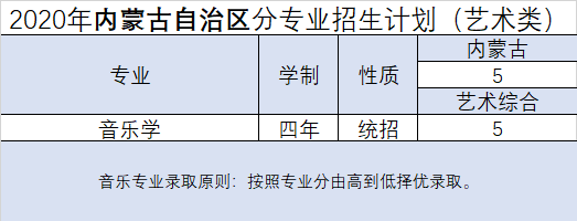 2020年大连外国语大学艺术类专业招生计划