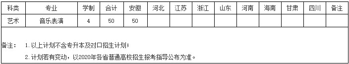 2020年巢湖学院艺术类本科招生计划