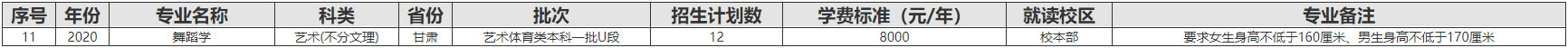 2020年西华大学艺术类分省分专业招生计划
