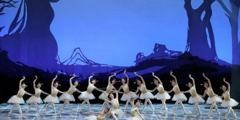 2021年中央芭蕾舞团舞蹈学校招生简章