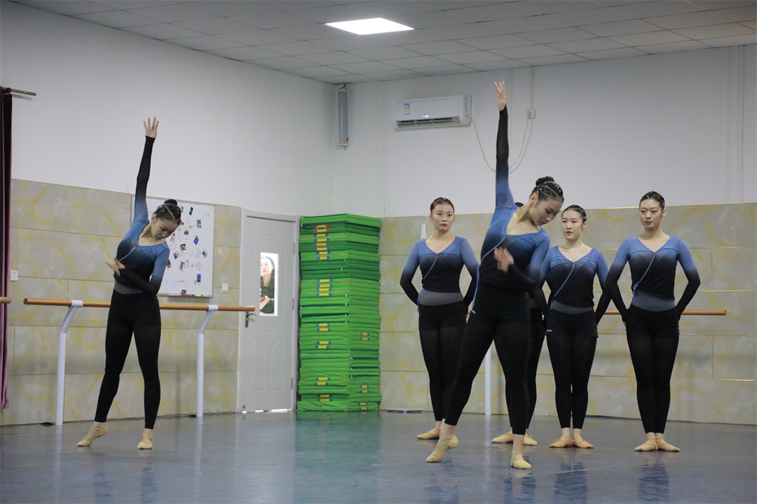 艺考舞蹈考哪些舞种 参加舞蹈艺考需要具备的条件?
