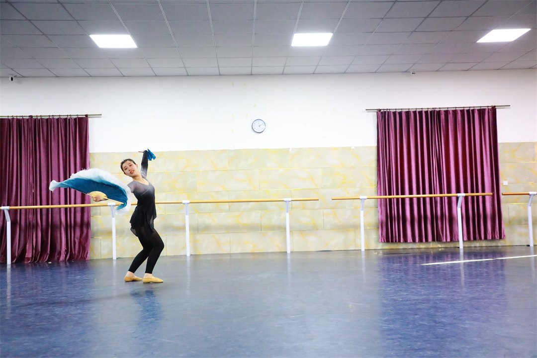 舞蹈艺考如何选择专业舞蹈培训学校 专业舞蹈培训学校有哪些特征?