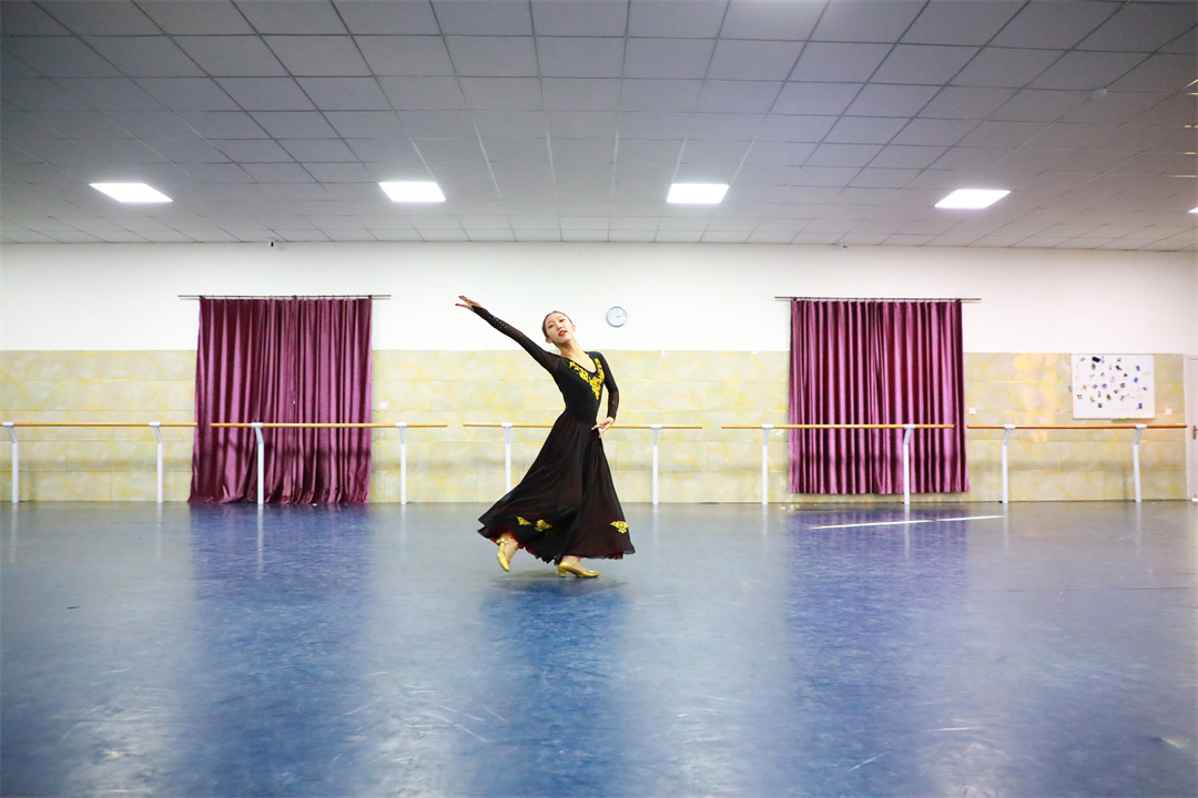 2022中国十大舞蹈学院排名你最心仪哪所 第二所和第七所一直有争议!