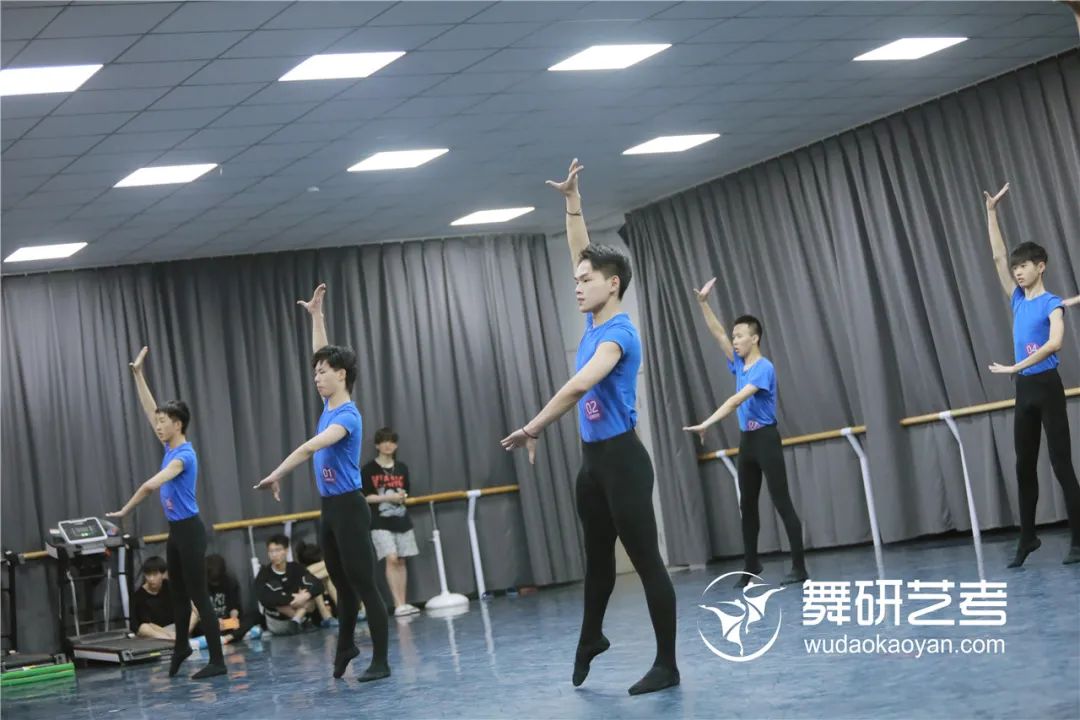 北京的舞蹈學院招生要求是怎樣的，招生多少人呢