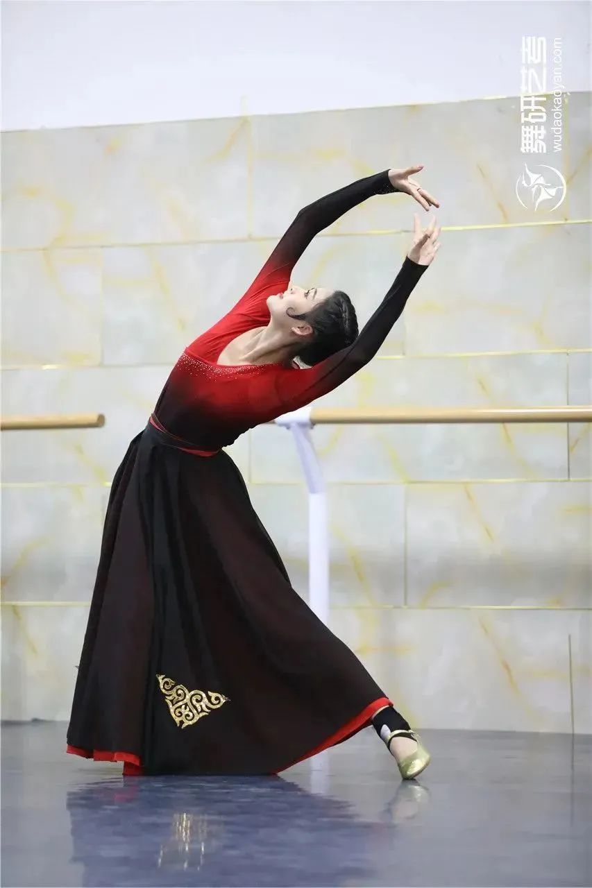 2022年咸阳师范学院艺术类舞蹈学、舞蹈表演（国际标准舞）专业招生简章、报考条件、录取原则、联系方式