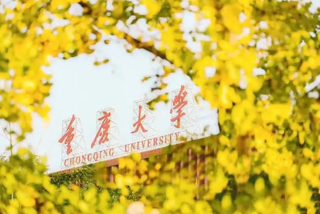 2022年重庆大学高水平艺术团音乐类项目合格名单公示