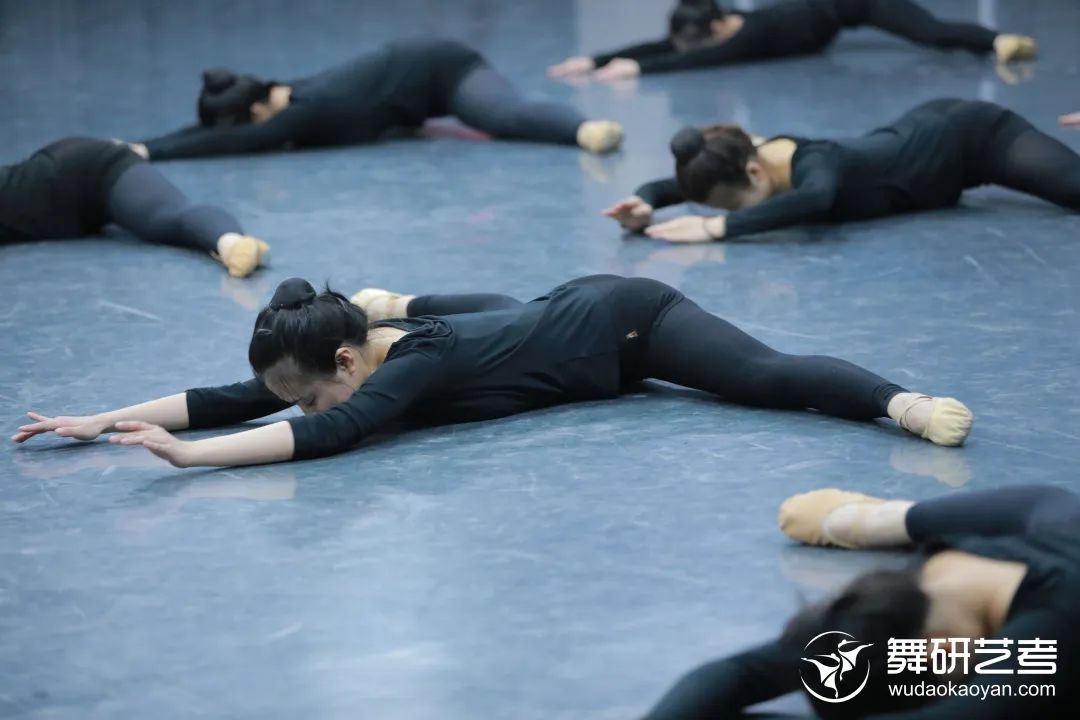  河北舞蹈系比較好的大學有哪些 有哪些專業 面向哪些省份招生呢