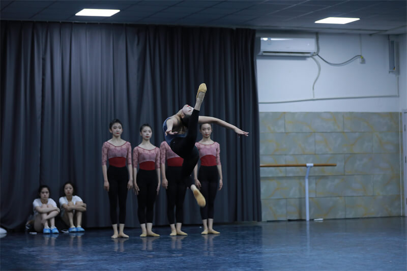中国的舞蹈院校开设舞蹈学专业的有哪些