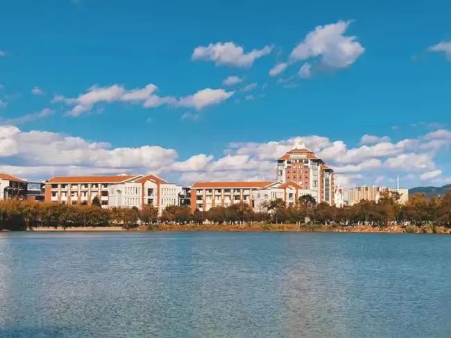 云南民族大学舞蹈系怎么样？属于哪个学院？