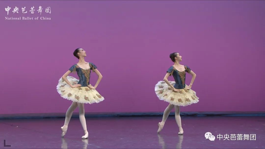 2023中央芭蕾舞團舞蹈學校招生簡章（招生計劃、報名手續及初試考試、專業考試內容、要求）