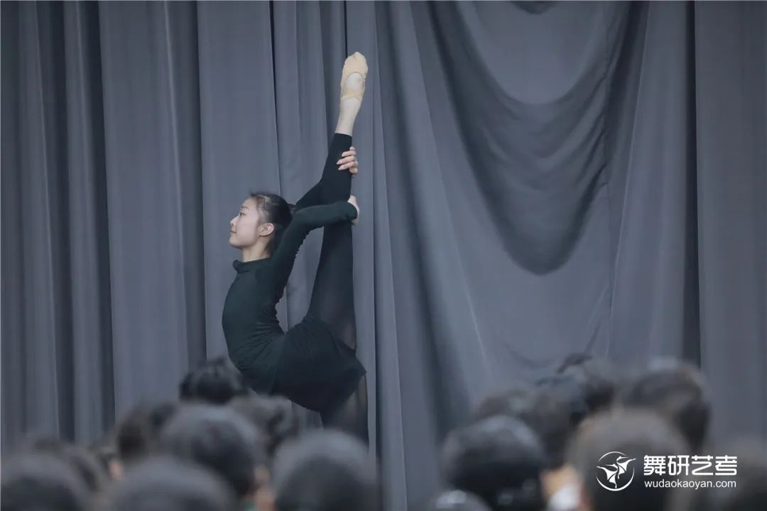 【舞研男班】舞蹈高考一站式服务！