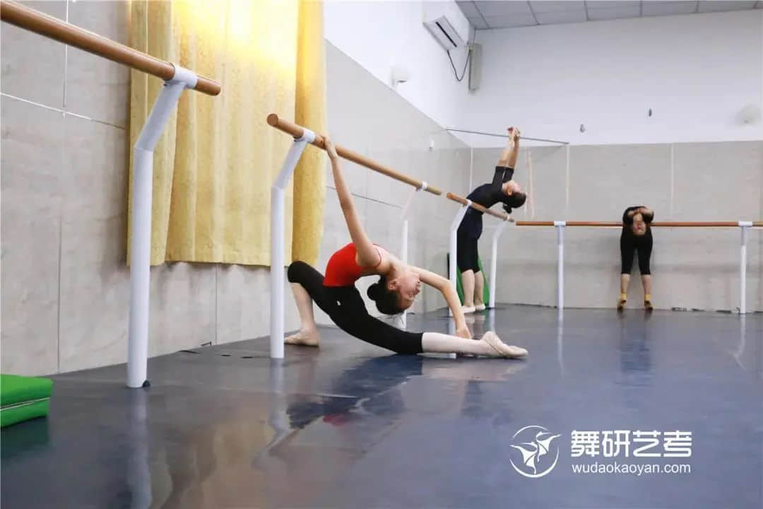 万物即将复苏，过完春节的舞蹈生们是不是也该活动活动几天没练的筋骨啦~