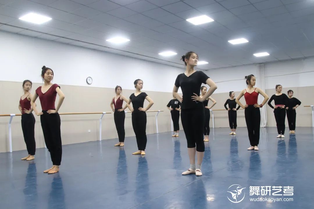 山東舞研藝考清明舞蹈集訓啟動！感受專業的力量！