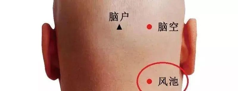 @舞蹈生：学舞蹈的千千万 ，“秃头”却不止一个~拯救发际线计划，你的秃头有救啦！