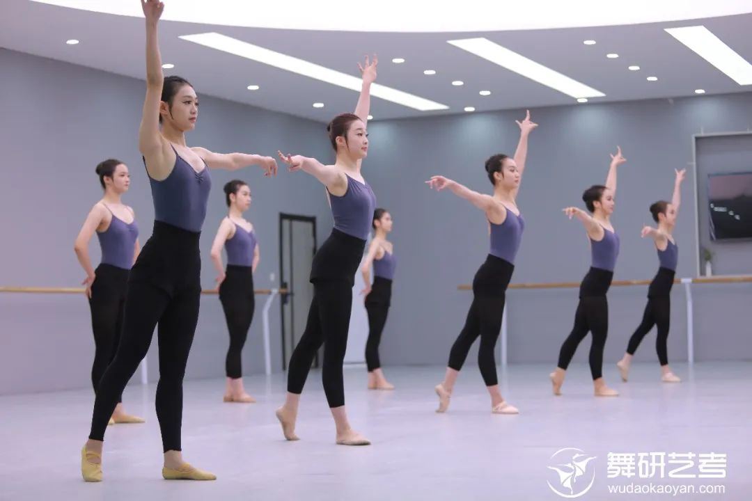 2024届舞蹈生校考定向班丨来舞研精准备考，定能圆梦名校！