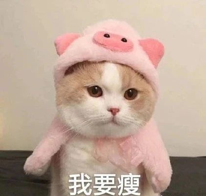 舞蹈生省考前最实用减肥法，你的标体还远吗？
