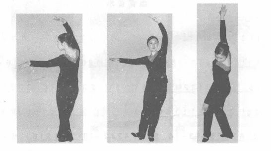 舞研教资 | 考舞蹈教师资格证必看的试讲知识——藏族民间舞组合