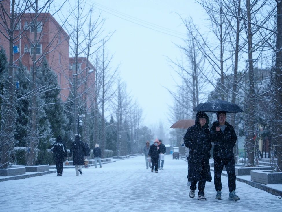 2024年西北大学现代学院艺术类音乐、舞蹈专业招生简章