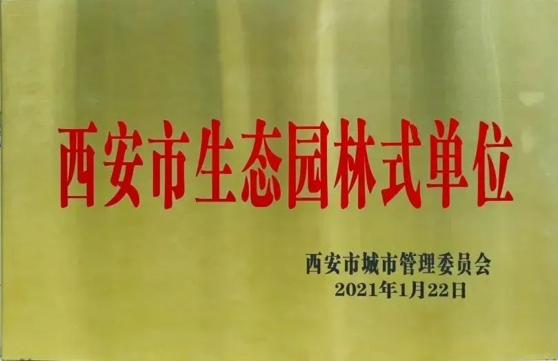 2024年西北大学现代学院艺术类音乐、舞蹈专业招生简章