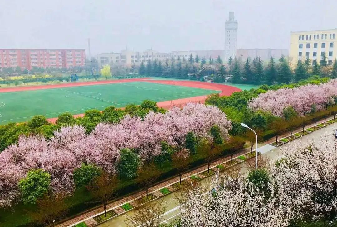 2024年西北大学现代学院艺术类音乐、舞蹈专业招生简章