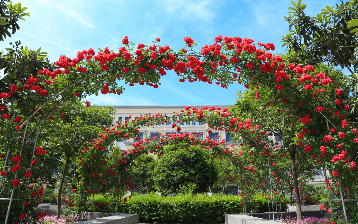 2024年西北大学现代学院艺术类音乐、舞蹈专业招生简章