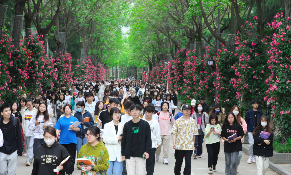 2024年西北大学现代学院艺术类音乐、舞蹈专业招生简章