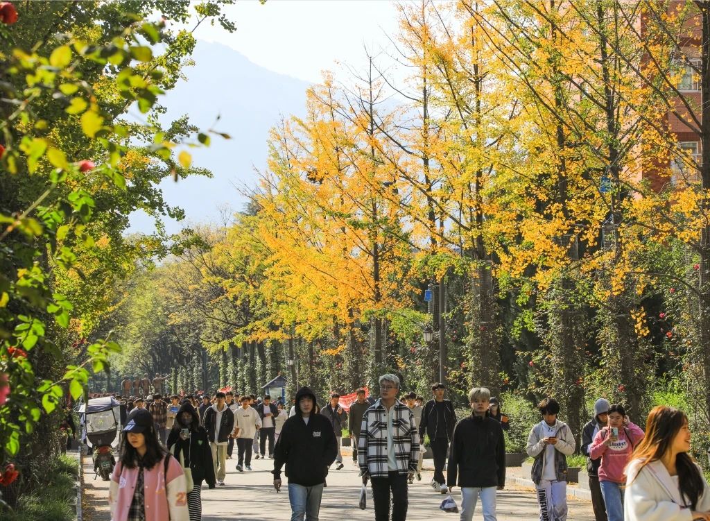 2024年西北大学现代学院艺术类音乐、舞蹈专业招生简章