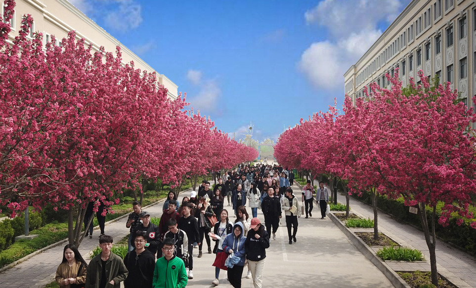 2024年西北大学现代学院艺术类音乐、舞蹈专业招生简章